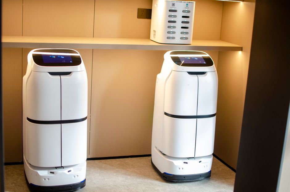 robot pendamping rumah tangga