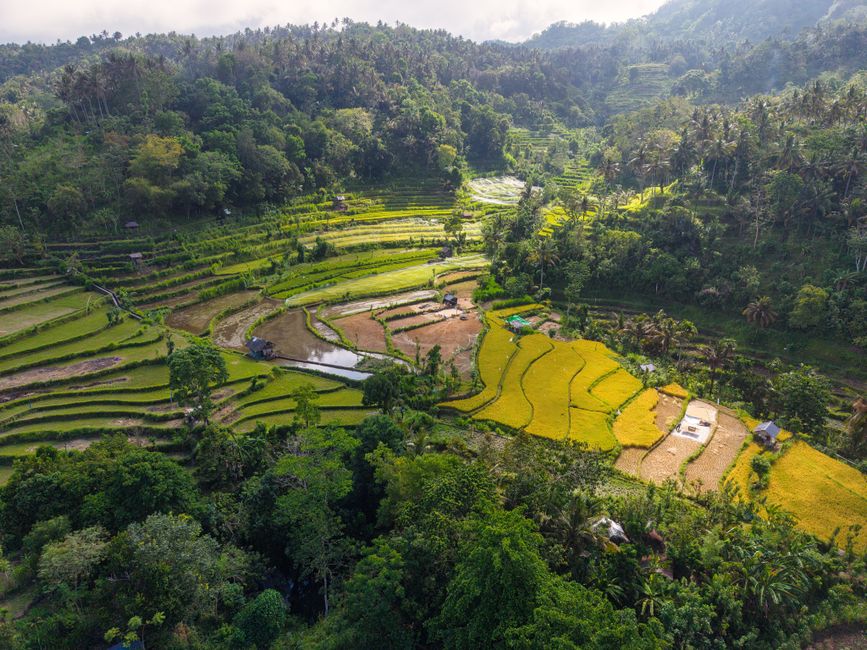 Apindo Bogor meminta relaksasi tarif pajak air tanah