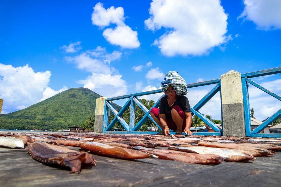 umkm di maluku utara