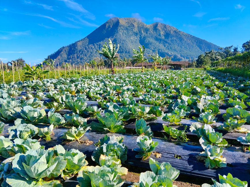 Gunung Ungaran dengan latar belakang pemandangan alam