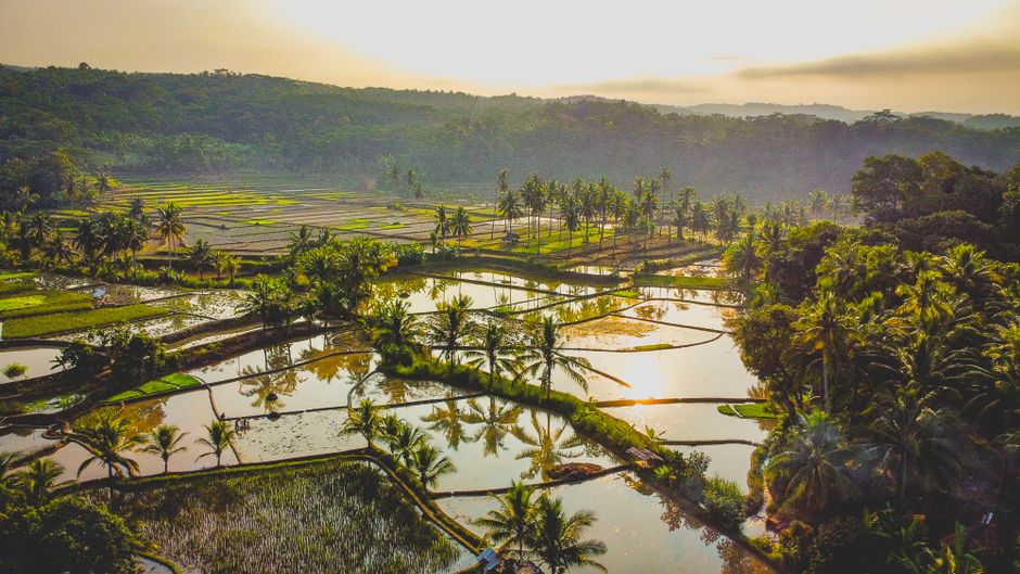 manajer koperasi desa