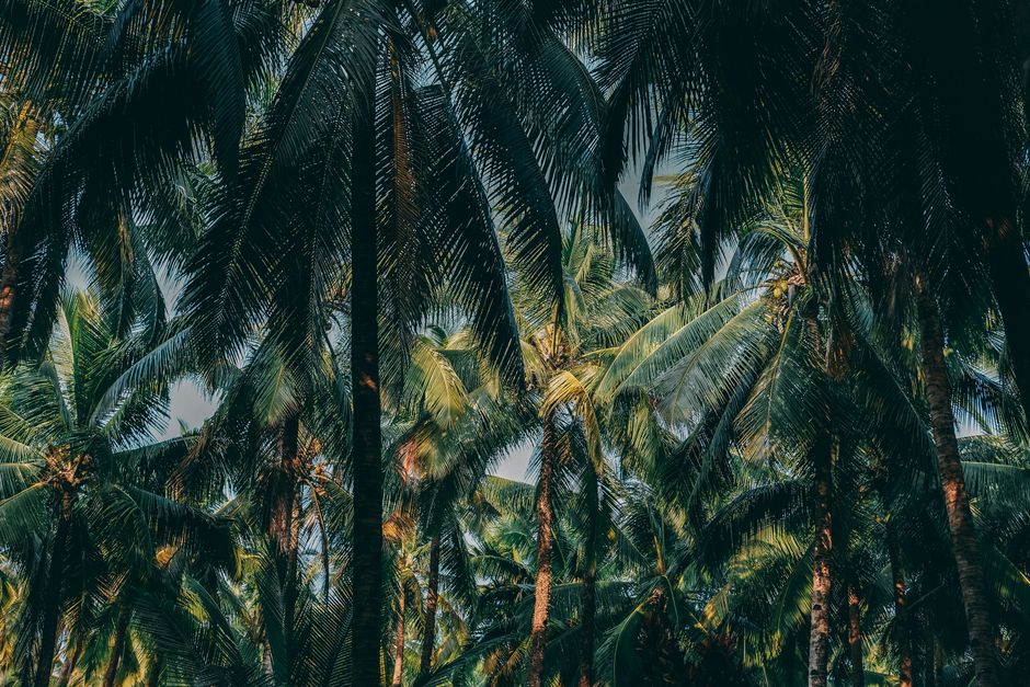 peta mentawai dengan tanda bintang