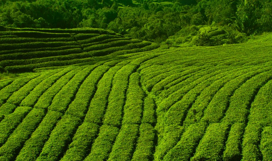 pemanfaatan AI produktif untuk ekonomi Indonesia