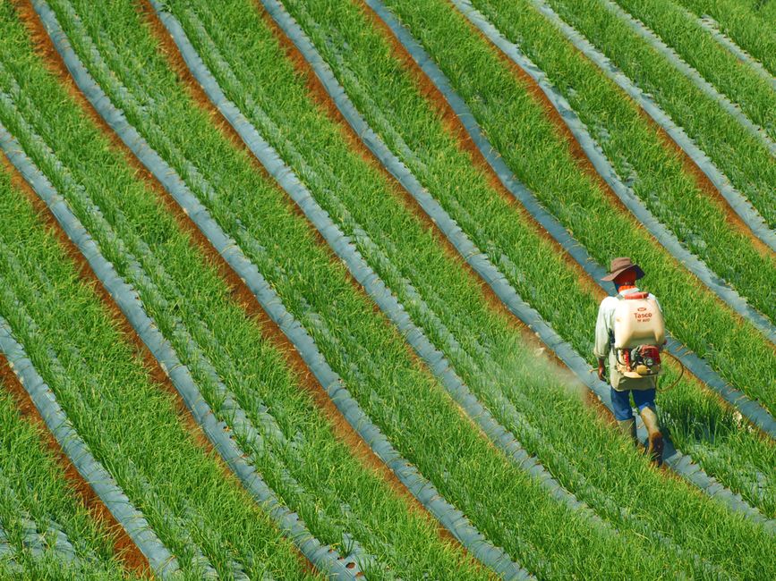 perusahaan pupuk terbesar di Indonesia