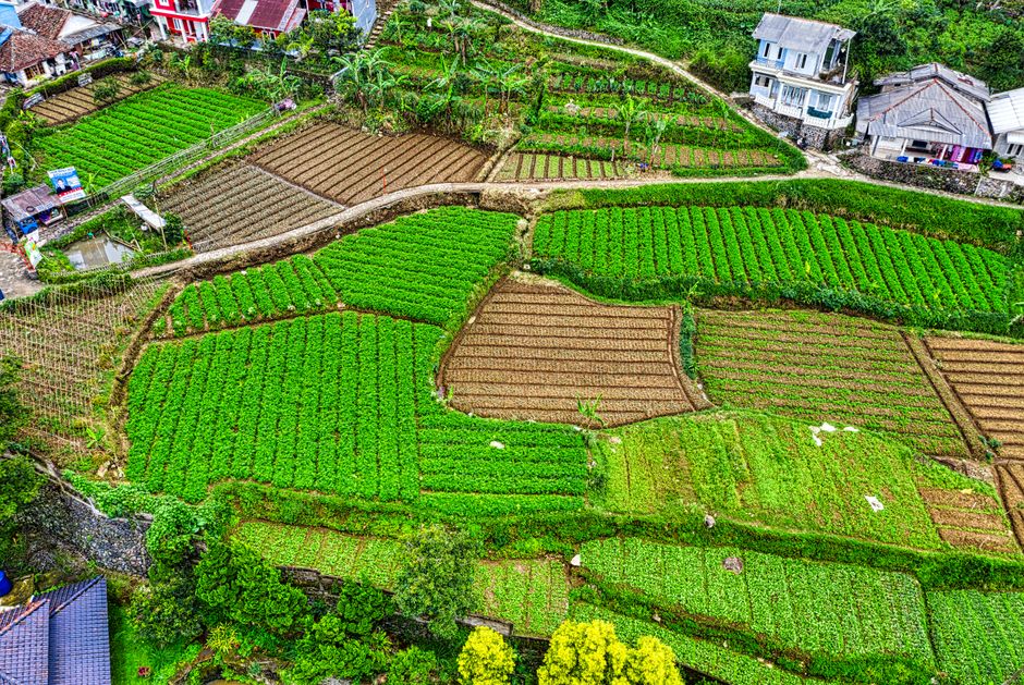 restorasi lahan produktivitas pertanian