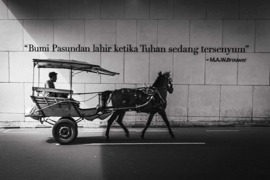 grafik saham bumi