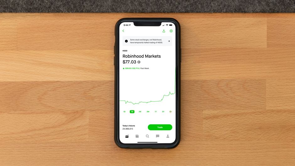 grafik saham robinhood dan duolingo